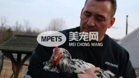 “无恶不作”的机车硬汉，竟然成了受虐宠物们的拯救使者？