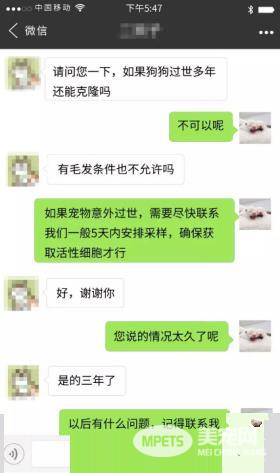 宠物冷冻尸体不腐 即可克隆重生?