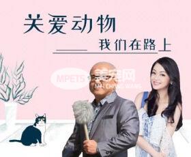 QQ截图20190606173216.jpg