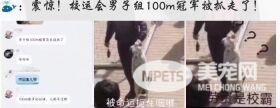 各大名校的“校宠”们 马上高考的你们有没有你心仪的学校类
