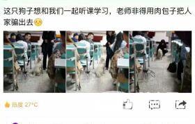 各大名校的“校宠”们 马上高考的你们有没有你心仪的学校类