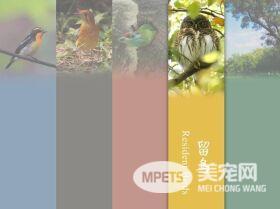 各大名校的“校宠”们 马上高考的你们有没有你心仪的学校类