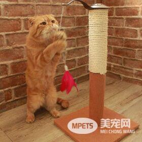 猫咪玩具这样挑 游戏是狩猎模拟 9成饲主都忽略这三点