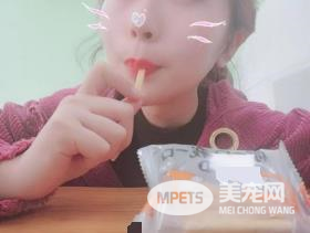 醇粹人宠同食-芝士脆是有多美味?狗狗和铲屎官抢着吃!