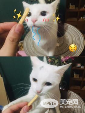 醇粹人宠同食-芝士脆是有多美味?狗狗和铲屎官抢着吃!