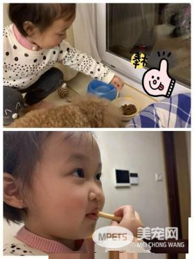 醇粹人宠同食-芝士脆是有多美味?狗狗和铲屎官抢着吃!