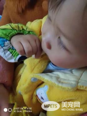 醇粹人宠同食-芝士脆是有多美味?狗狗和铲屎官抢着吃!