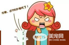 醇粹人宠同食-芝士脆是有多美味?狗狗和铲屎官抢着吃!