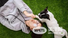 醇粹人宠同食-芝士脆是有多美味?狗狗和铲屎官抢着吃!