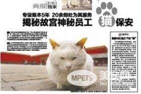 网红院长单霁翔谈故宫的猫：常收到各地寄的猫粮，整个故宫没有一只老鼠