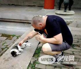 网红院长单霁翔谈故宫的猫：常收到各地寄的猫粮，整个故宫没有一只老鼠