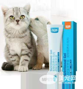 猫咪营养膏排行榜上,WOWO猫咪螺旋藻营养膏成为最大黑马?