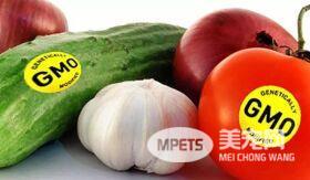 宠物吃转基因食品真的好吗？ 看完这些，让你放下担忧