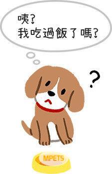 狗狗睡不好的4种后遗症 甚至会出现攻击行为