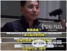 你知道你的狗子为了出去玩 有多拼吗?