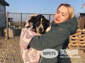 我只是睡着了! 汪星人被埋葬后竟自己挖墓而出