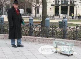 见过遛狗遛猫的算什么 你见过遛龟?遛鱼?遛蜥蜴?