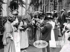 狗狗的老照片 虽有羁绊 但永不退色