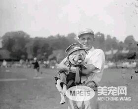 狗狗的老照片 虽有羁绊 但永不退色