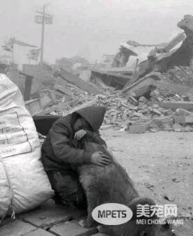 狗狗的老照片 虽有羁绊 但永不退色