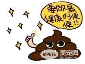 柯基的便便不同的颜色代表什么呢？医生说只有一种情况是正常的