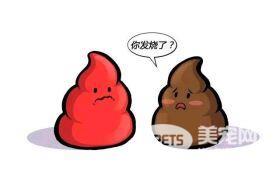 柯基的便便不同的颜色代表什么呢？医生说只有一种情况是正常的