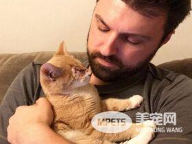 失去双眼的它个性超有爱 成功掳获寄养爸拔的心!