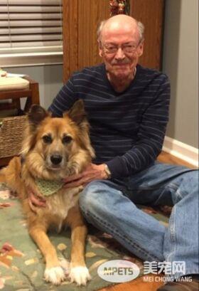 忠犬用力踮脚 只为见主人最后一面  再舔一次那张心爱的脸