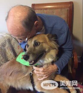 忠犬用力踮脚 只为见主人最后一面  再舔一次那张心爱的脸