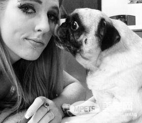 狗狗为什么喜欢舔人? 这种行为对健康会有风险吗