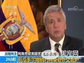 黑客阿桑奇被捕后 维基解密说阿桑奇的猫安全的