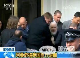 黑客阿桑奇被捕后 维基解密说阿桑奇的猫安全的