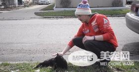 爱猫车祸身亡被埋葬后 隔天居然奇迹般“从死里复活”