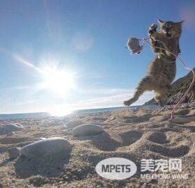 男子骑单车环球壮游 却被小家伙强行打乱计划