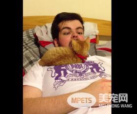 这人差点生吞了一只小猫咪 嘴开做鬼脸猫咪竟探头