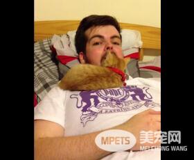 这人差点生吞了一只小猫咪 嘴开做鬼脸猫咪竟探头
