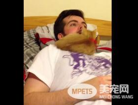 这人差点生吞了一只小猫咪 嘴开做鬼脸猫咪竟探头