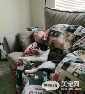 弃猫送收容所却被抱住不放手 好心夫妇决定收编
