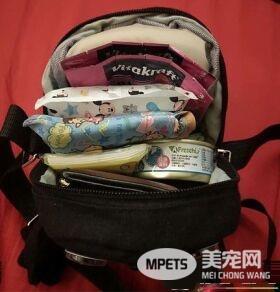 黑狗沿桌讨饭超专业 吃完一轮再重头来过