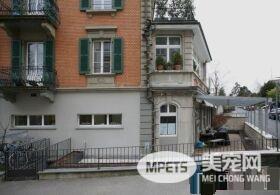 摄影师发现瑞士奇景 每家都有猫咪专属的猫楼梯