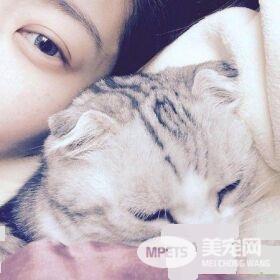 暖猫晚年时行动不便 屁屁不小心沾到便便却不敢说