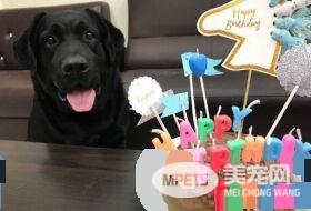 拉拉超强鼾声骚扰 如机关枪扫射半夜惊醒主人