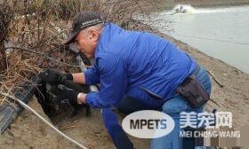 2幼犬卡在坑洞中吃土维生 志工化身马盖先抢救