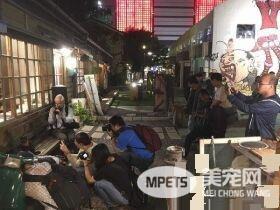 外出寄件有问题问猫 店家外出留猫解决顾客的问题