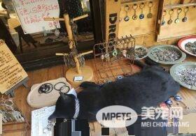 外出寄件有问题问猫 店家外出留猫解决顾客的问题