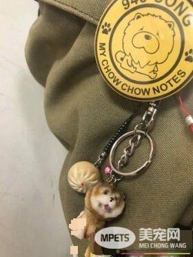 回家发现鬆狮弟弟趴着不动 摇动才惊觉全身僵硬了