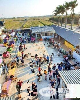 不忍浪浪受苦 护生园收容超过三千只浪浪