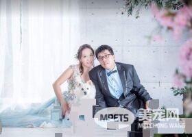 爱就是不离不弃 流浪狗跟新娘一起嫁出去了