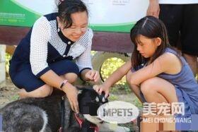 鼻头国小校犬遭撞死离世 师生泪：一路好走