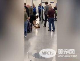 月月心情不美丽倒安检门前 害后方旅客塞大长龙